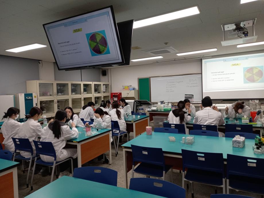 MSA streaking, Catalese test, Coagulase test 실험