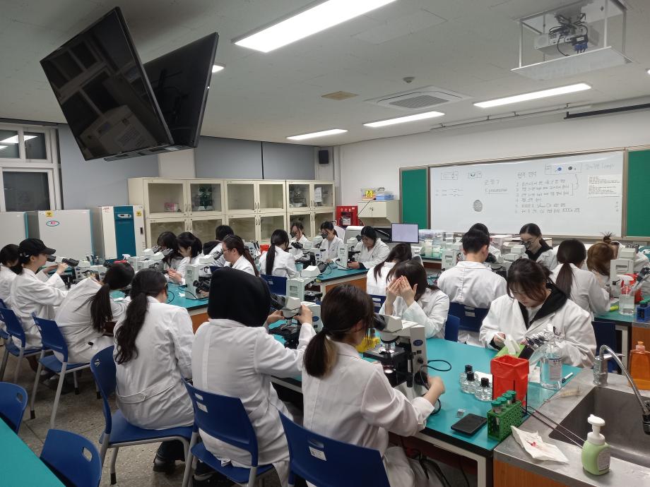 묵즙법 협막염색