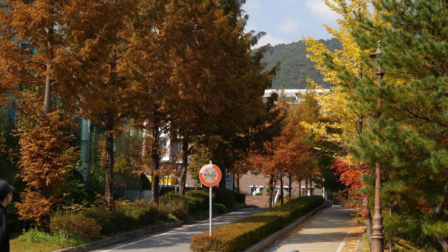 비룡학사 앞 길