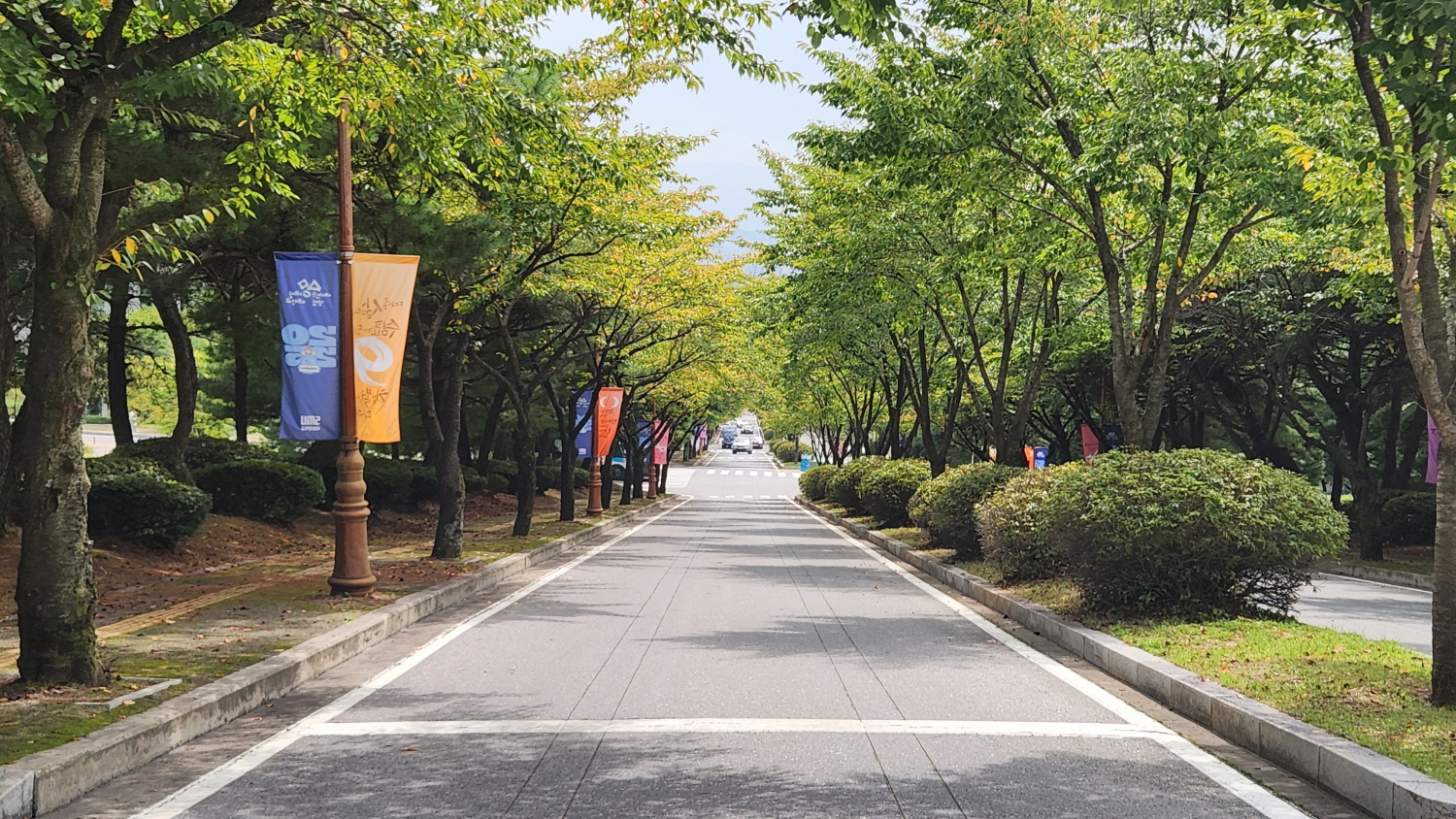 세로수길
