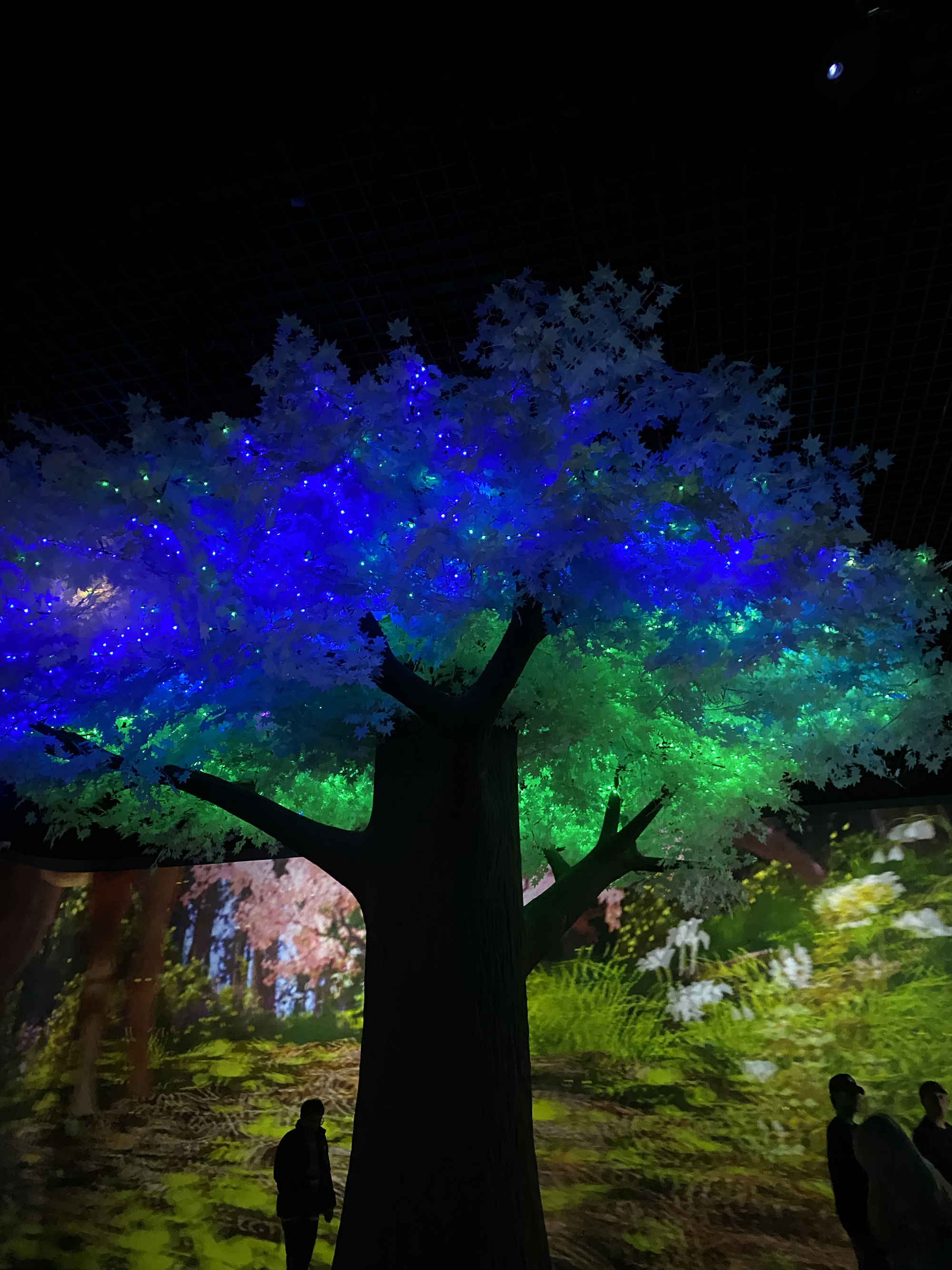 [제천투어] 제천투어_청풍호